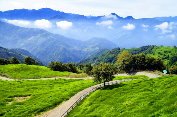 清境地區具備國家級風景區的條件，地方居民與業者盼望充實基礎建設，朝向永續發展（攝影：葉瑞其）