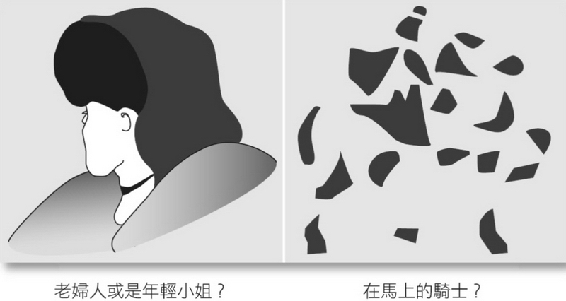 認知挑戰：您看到了什麽？